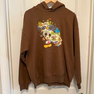 Vintage Disneyland Resort Parks California Adventure Brown Hoodie